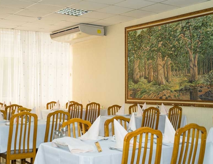 Рестораны и бары - Санаторий «Долина Нарзанов» РЖД-Здоровье Нальчик