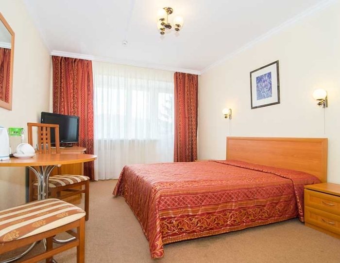 Стандарт DBL - Санаторий «Долина Нарзанов» РЖД-Здоровье Нальчик