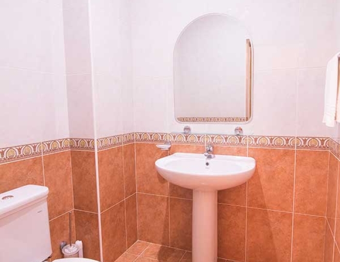 Комфорт DBL - Санаторий «Долина Нарзанов» РЖД-Здоровье Нальчик