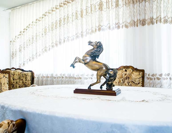 Люкс - Санаторий «Долина Нарзанов» РЖД-Здоровье Нальчик